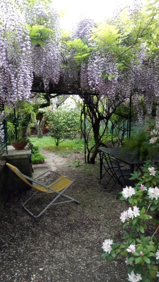 Casa Bartolacci Charme In 毕威格利亚努 外观 照片